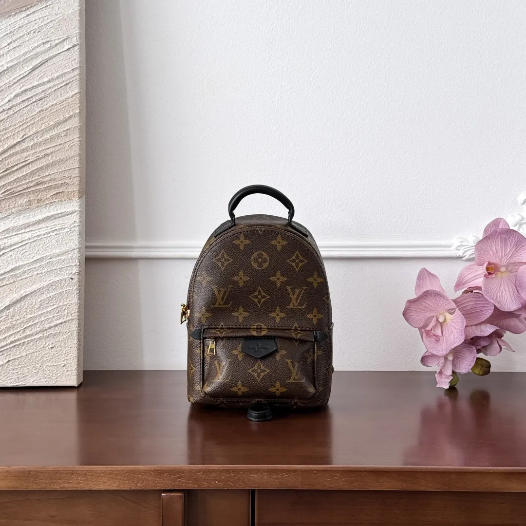 LV Palm Springs Mini Taske