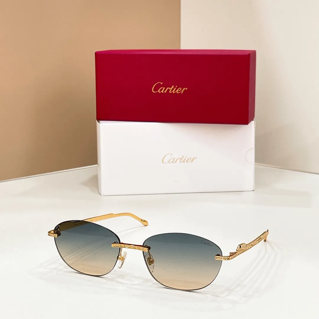 Cartier CT0486S Solbriller